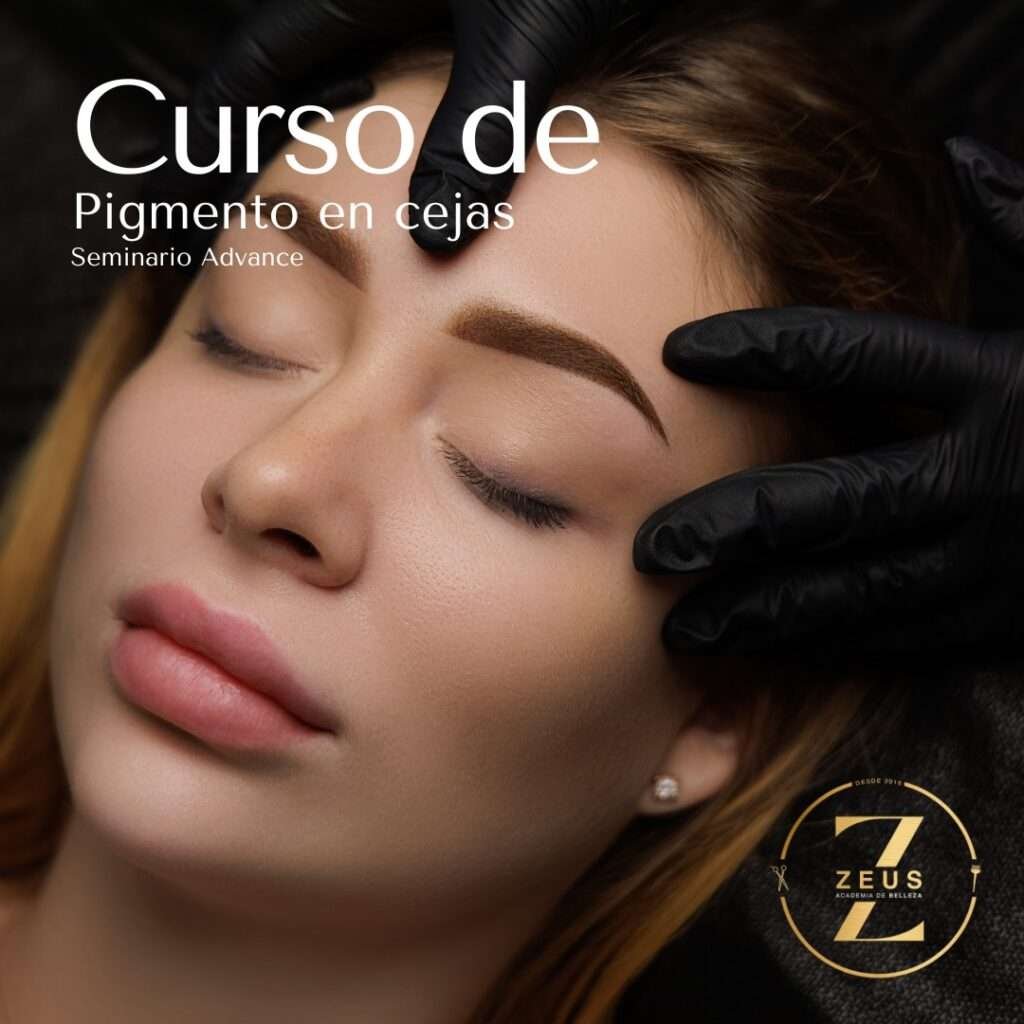 Curso pigmentación de cejas